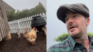 David Beckham’s ‘Farm Life’ With Chickens And Veggies Intrigues Fans Over ‘Calming Retirement Plans’ | Viral Video
